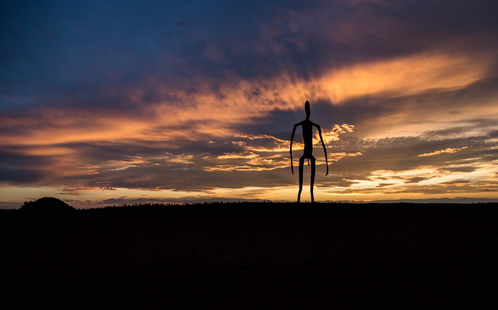 silhouetto of creature during golden hour